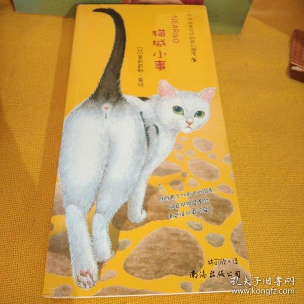 猫城小事