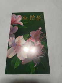 T162杜鹃花邮票邮折
