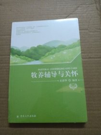 牧养辅导与关怀