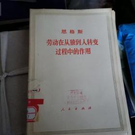 恩格斯 劳动在从猿到人转变过程中的作用