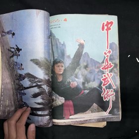中华武术(1986年1-12期全,1987年1-6缺第2期)共17本合售