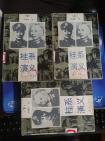 桂系演义（上中下）