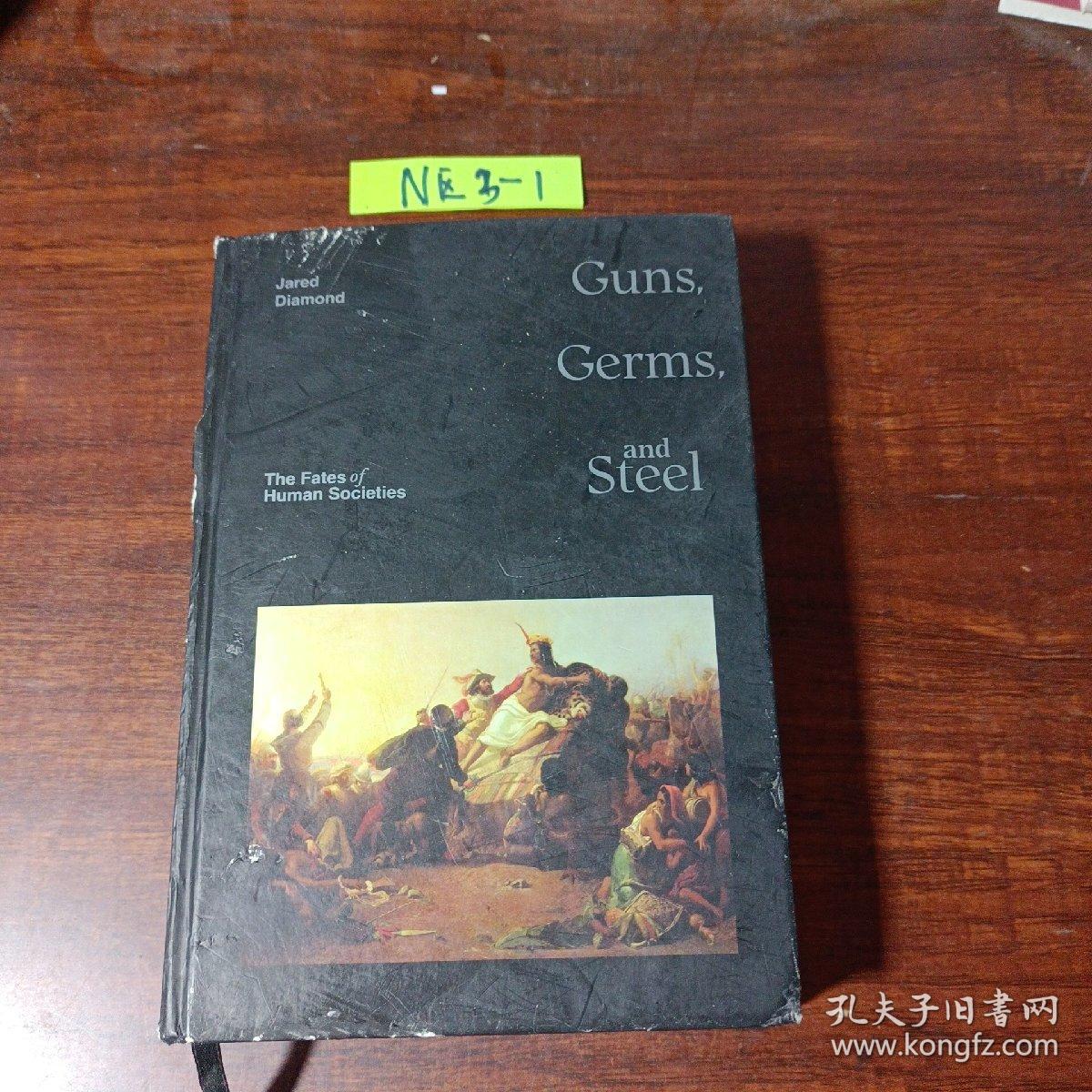 枪炮病菌与钢铁