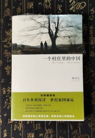 一个村庄里的中国
