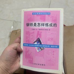 钢铁是怎样炼成的