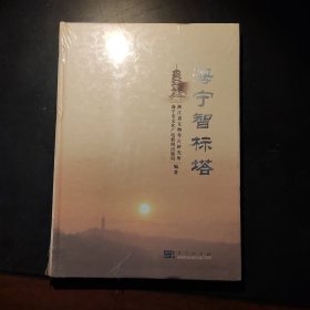 海宁智标塔