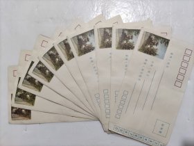 老信封空白封（美术封望江楼图）十个一组