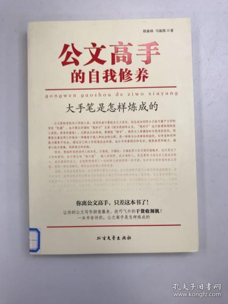 公文高手的自我修养：大手笔是怎样炼成的