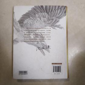 沈石溪动物小说经典爱藏版·五彩龙鸟