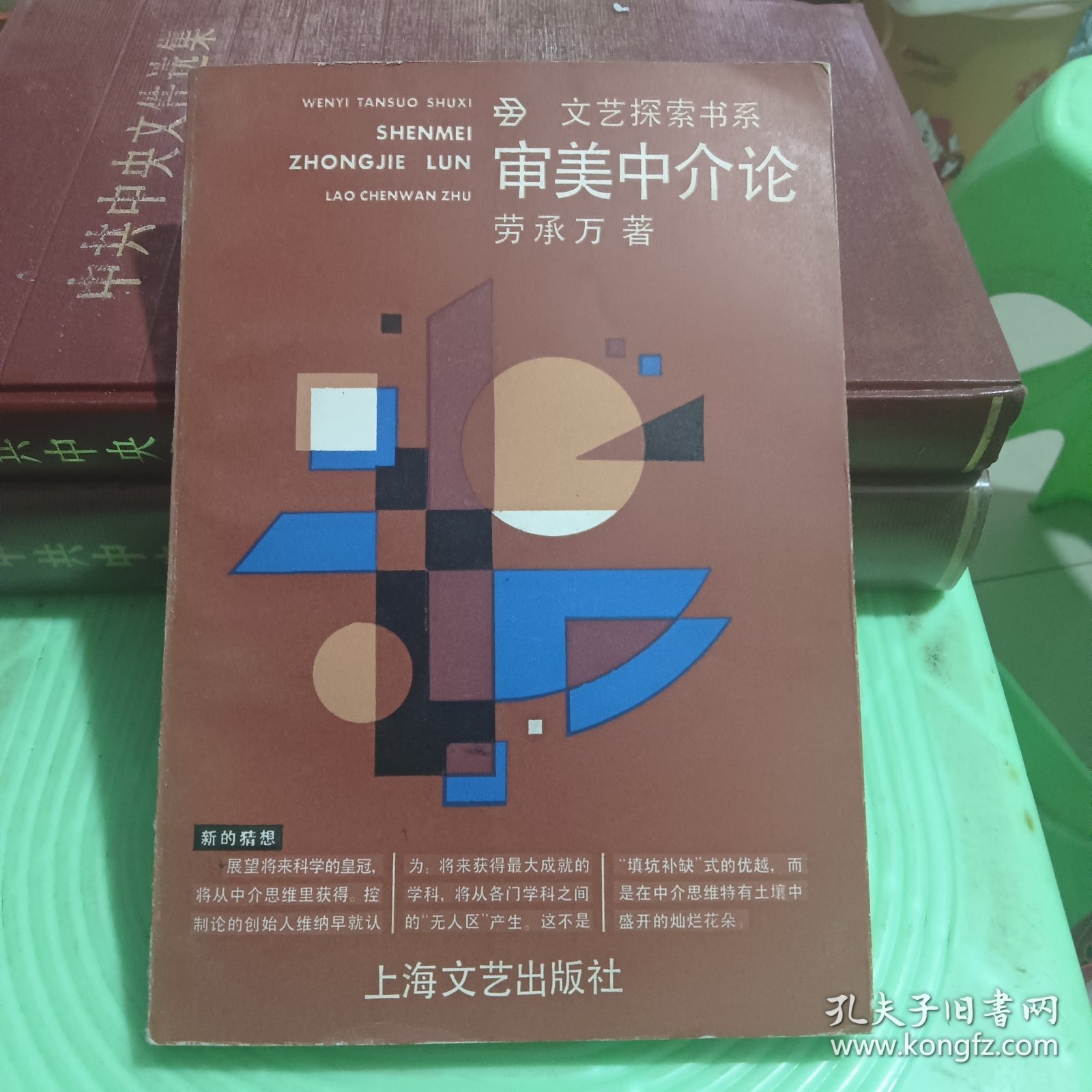 文艺探索书系：审美中介论