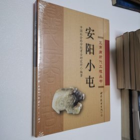 安阳小屯 夏商周断代工程从书