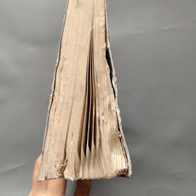 新星奇幻小说系列 雪公主