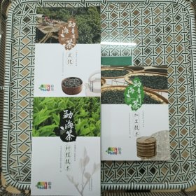三本合售：勐海普洱茶文化 ，勐海茶加工技术，勐海茶种植技术——《勐海茶》系列丛书（16开彩印）