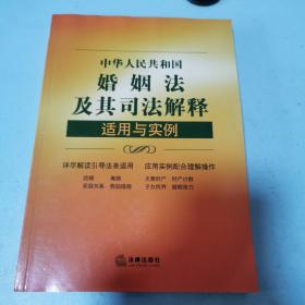 中华人民共和国婚姻法及其司法解释适用与实例（第五版）