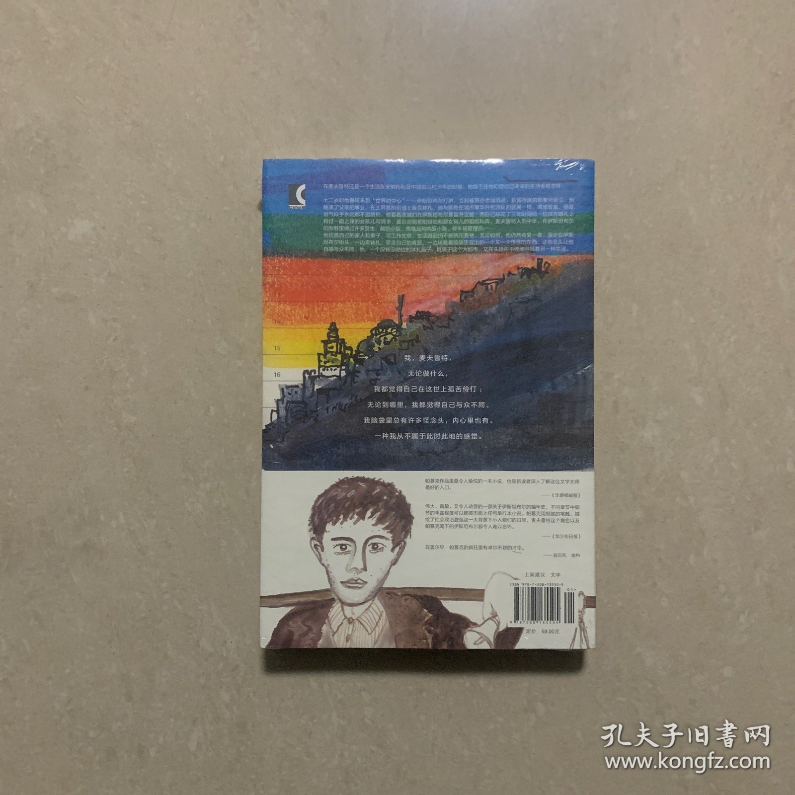 我脑袋里的怪东西