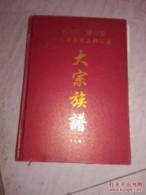 武功郡卢山堂永定县苏九三郎公系大宗族谱 （存上卷厚重缺下卷）