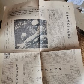 解放日报 1970年11月15日