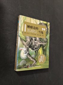 睡蟒邊的雪兔