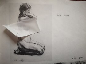 美术插页（单张），金一德素描《女人体》，陈守义素描《男人体》，叶琪章素描《男人体》