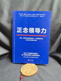 正念领导力（经纬中国创始合伙人邵亦波作序！一本从心出发的领导力之书！）