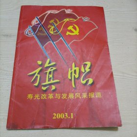 旗帜：寿光改革与发展风采报道