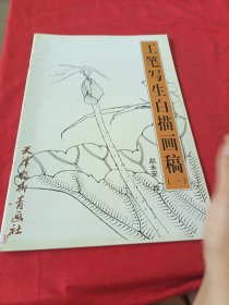 工笔写生白描画稿（二）