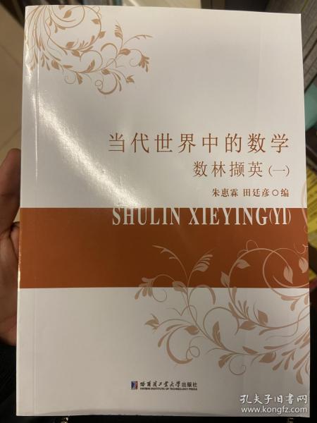 当代世界中的数学.数林撷英.一