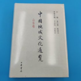 中国地域文化通览 山东卷(精装)