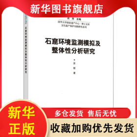 石窟环境监测模拟及整体分析研究 吕舟 9787030613660 科学出版社