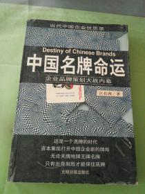 中国名牌命运 企业品牌策划大战内幕.