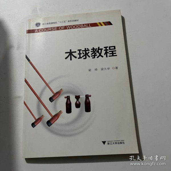 木球教程/浙江省普通高校“十三五”新形态教材