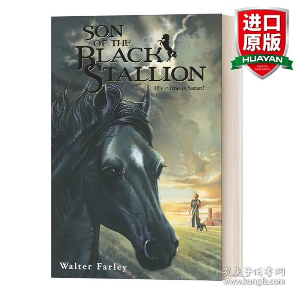 英文原版 Son of the Black Stallion 黑神驹系列：黑神驹之子 Walter Farley 青少年骑马动作冒险小说 英文版 进口英语原版书籍