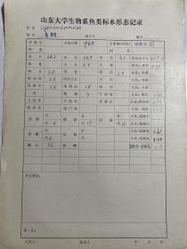 60年代山东大学生物系鱼类标本形态记录（济南北园、大明湖采集）