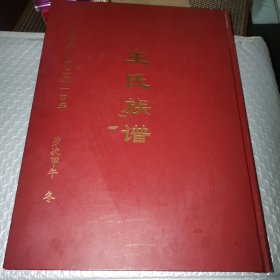 王氏族谱 （邹城金斗山）