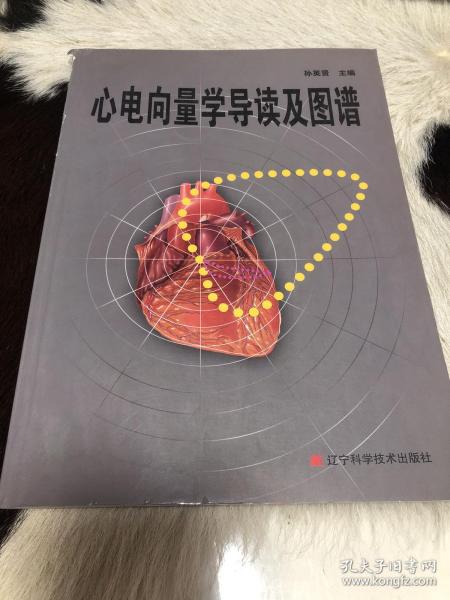 心电向量学导读及图谱