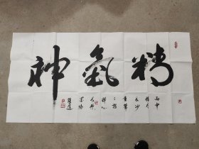 铁笔书法家杨跃进书法:精气神A