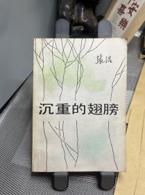 沉重的翅膀