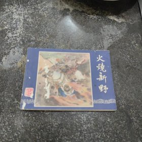 连环画火烧新野(三国演义之十九)