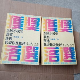 全国小说奖获奖落选代表作及批评（中篇卷上