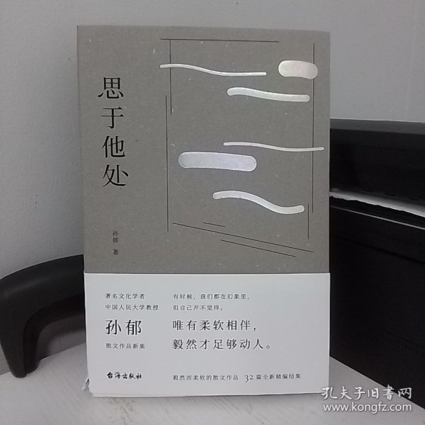 思于他处（原人大文学院长孙郁写给当代读者的读书指南、思维宝典）