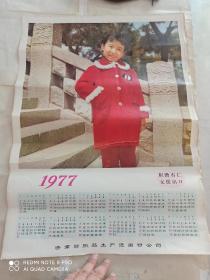 1977年年历宣传画积攒杏仁支援出口，济南纺织品土特产出口公司