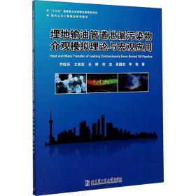 埋地输油管道泄漏污染物介观模拟理论与宏观应用