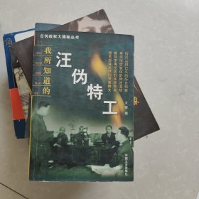日伪政权大揭秘丛书：我所知道的伪满政权/伪满元凶/汪伪特工/伪蒙疆政权/伪华北政权/汉奸陈公博/汉奸周佛海/汉奸汪精卫和陈璧君
