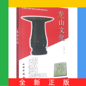 龙山文化/20世纪中国文物考古发现与研究丛书