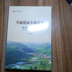 “纪录小康工程”地方丛书·全面建成小康社会陕西变迁志