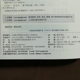 中国临床肿瘤学会（CSCO）淋巴瘤诊疗指南2020