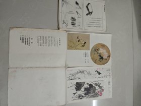 花鸟草虫画法入门 活页20页