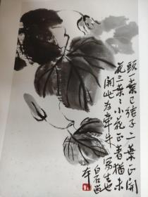 画页（散页印刷品）———书画——猫【徐悲鸿】。近代名家墨宝册【齐白石，黄宾虹，启功，徐操，汪溶等】1528