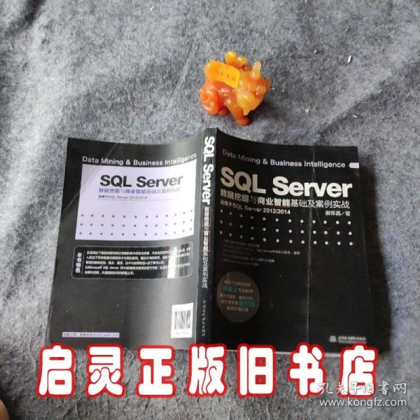 SQL Server数据挖掘与商业智能基础及案例实战