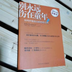 别永远伤在童年：如何疗愈自己的内在小孩